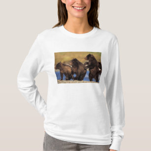 T-shirts urso pardo, Ursus arctos, urso cinzento, Ursus