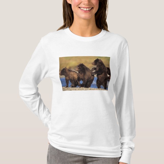 T-shirts urso pardo, Ursus arctos, urso cinzento, Ursus (Frente)
