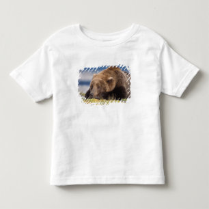 T-shirts urso pardo, Ursus arctos, urso cinzento, Ursus 8