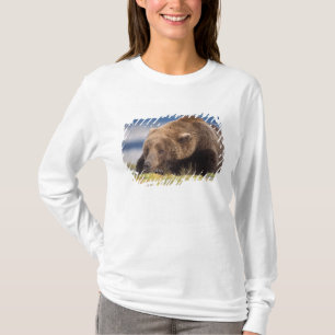 T-shirts urso pardo, Ursus arctos, urso cinzento, Ursus 8