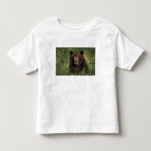 T-shirts urso pardo, Ursus arctos, urso cinzento, Ursus 9