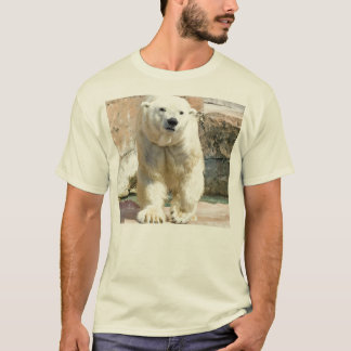 T-shirts Urso polar