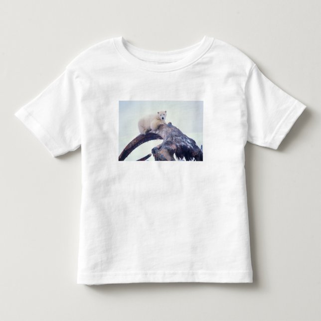 T-shirts Urso polar em cima de um osso da mandíbula de uma  (Frente)