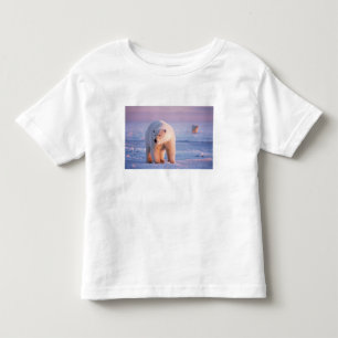 T-shirts urso polar, Ursus maritimus
