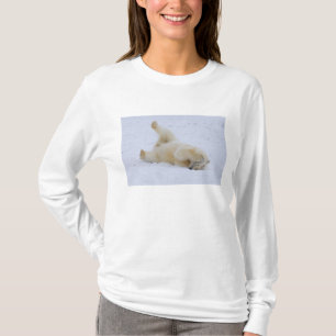 T-shirts urso polar, Ursus maritimus, filhote rolando