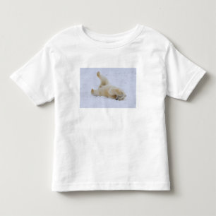 T-shirts urso polar, Ursus maritimus, filhote rolando