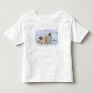 T-shirts urso polar, Ursus maritimus, filhote rolando 3