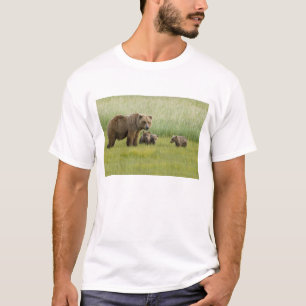T-shirts Ursoa Fêmea do Urso Pardo do Alasca e três Filhote