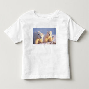 T-shirts Ursoaica com filhote no gelo marinho