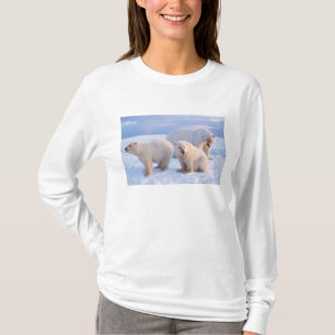 T-shirts Ursoaica com filhotes no gelo costeiro
