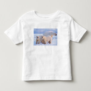 T-shirts Ursoaica com filhotes no gelo da banquisa, costeir