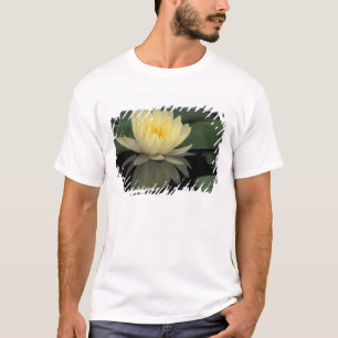 T-shirts USA, Kentucky, Louisville Nenúfar doméstico,