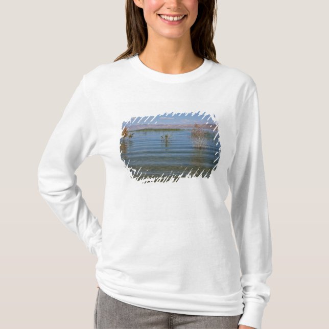 T-shirts UT, Bear Lake (Frente)