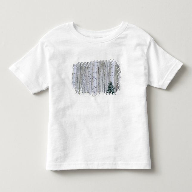 T-shirts UTAH. EUA. Aspen (Populus tremuloides) & Douglas (Frente)