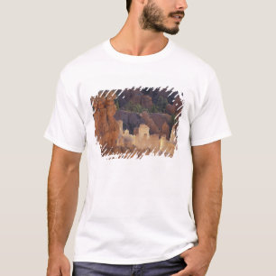 T-shirts Utah, Parque Nacional Bryce Canyon. Hoodoos,