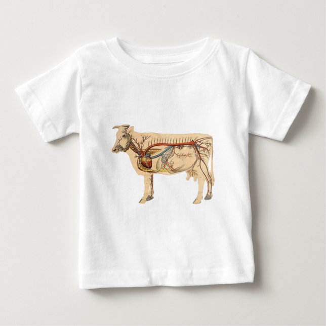 T-shirts Vaca-branca anatômica (Frente)