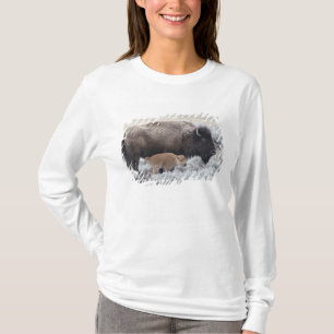 T-shirts Vaca e Vitelo Bison, Yellowstone