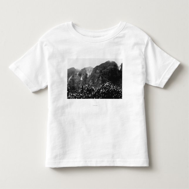 T-shirts Vale de Nuuanu, Havaí - ideia da queda de cabeça (Frente)