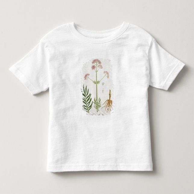 T-shirts Valerian de "Phytographie Medicale" pelo Ro de (Frente)