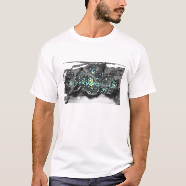 T-shirts Valhalla Heatmap (Frente)