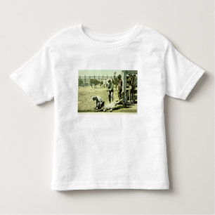 T-shirts Vaqueiros americanos que marcam uma vitela, c.1900