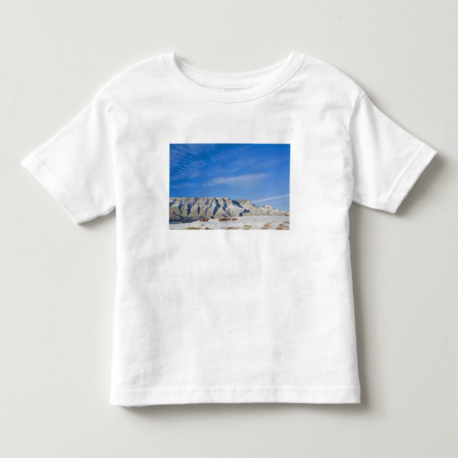 T-shirts Vaqueiros com Rebanho de Cavalos (Frente)