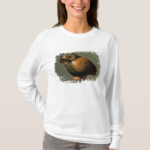 T-shirts Vaso sob a forma de uma coruja, Proto-Corinthian