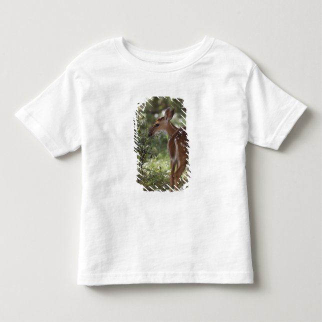 T-shirts Veado-mateiro, Odocoileus virginianus (Frente)