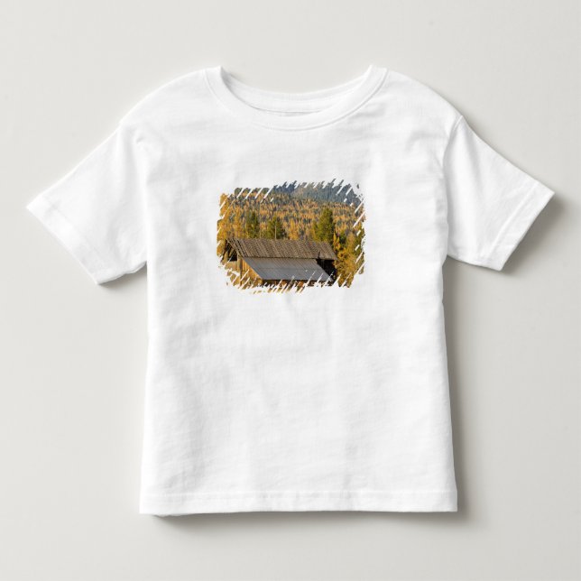 T-shirts Velho celeiro de madeira com tamaracks de outono p (Frente)