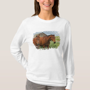 T-shirts Vendo cavalos em um campo no Palouse 3