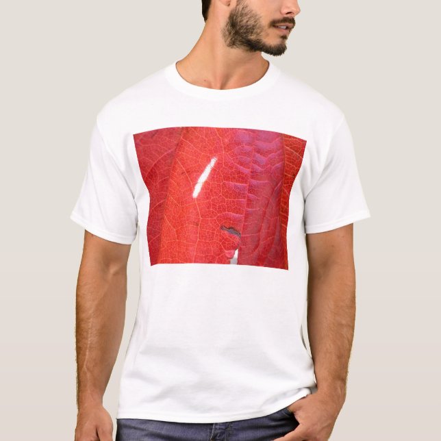 T-shirts Vermelho e verde (Frente)