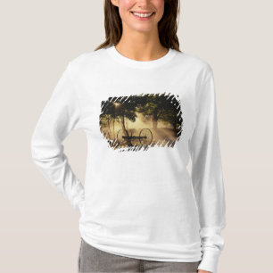 T-shirts Vermont, Nordeste Reino, Luz solar caindo