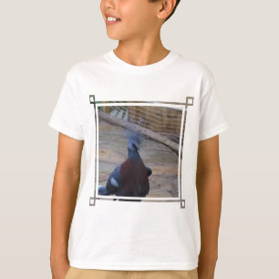 T-shirts Victoria coroou o pombo