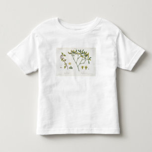 T-shirts Vidoeiro (deixado) e visco (direito), Fig. 9 e 10