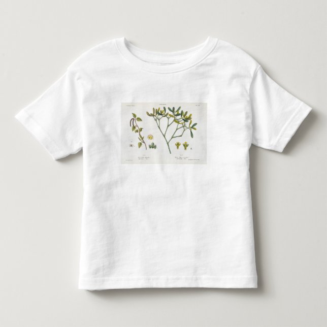T-shirts Vidoeiro (deixado) e visco (direito), Fig. 9 e 10 (Frente)