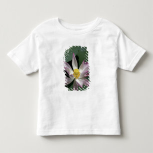 T-shirts Vietnã, perto de Saigon) My Tho. Vinh Trang