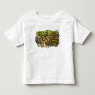 T-shirts Vinhas de Cabernet Sauvignon em uma fileira na