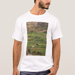 T-shirts Vinhas Smokvica em Korcula a partir da Toreta