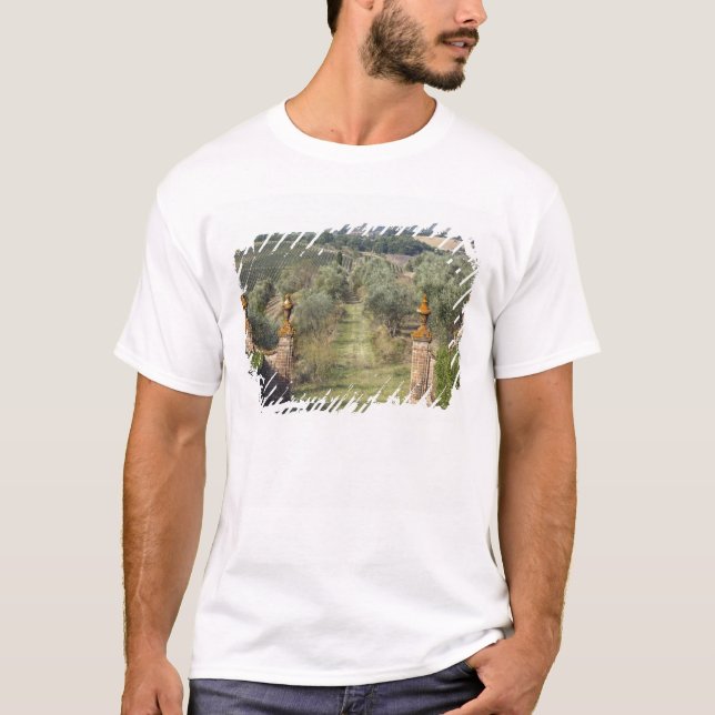 T-shirts Vinhas, Toscana, Itália (Frente)