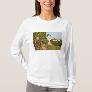 T-shirts Vinhas, videiras petit verdot e a adega ao