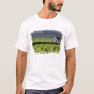 T-shirts vinhedo Chambertin Clos de Beze Grand Cru com