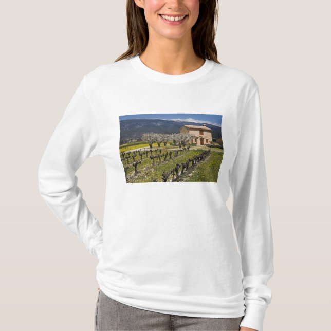 T-shirts Vinhedo dormente, flores de frutas, casa de pedra, (Frente)
