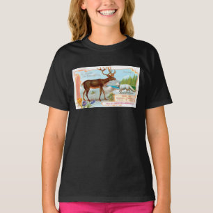 T-shirts Vintage Cariou (Reindeer) e Raposa Árctica
