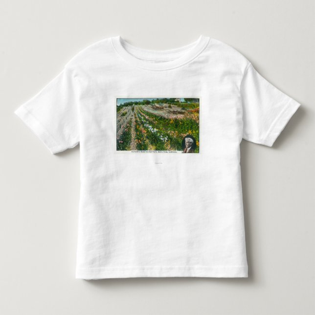 T-shirts Vista aérea da fazenda experimental de Burbanks (Frente)