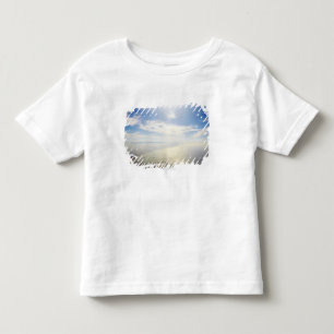 T-shirts Vista aérea de Long Beach, Califórnia
