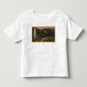 T-shirts Vista da seta - San Bernardino Mts., CA