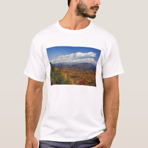 T-shirts Vista de outono das Montanhas Apalaches do Sul