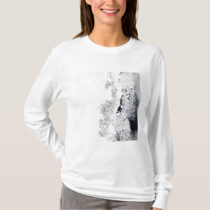 T-shirts Vista de satélite da costa oriental de Greenlan