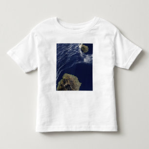 T-shirts Vista de satélite das Ilhas Príncipe Edward