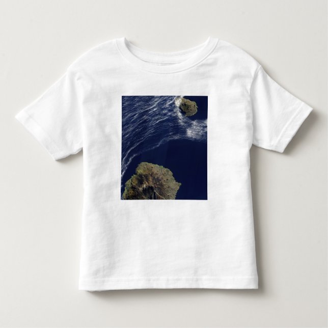 T-shirts Vista de satélite das Ilhas Príncipe Edward (Frente)